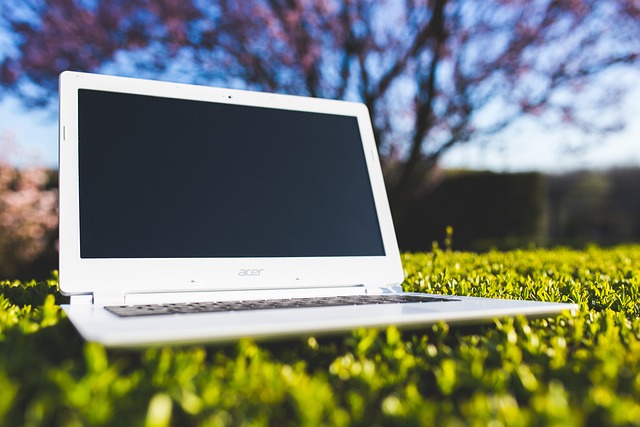 Laptopgrassacer 4 Laptop, Grass, Acer
